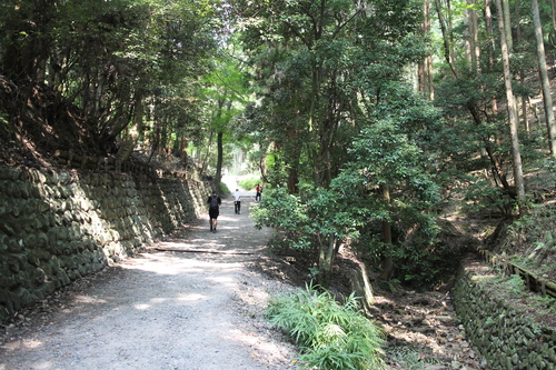 d0033734_2243279.jpg