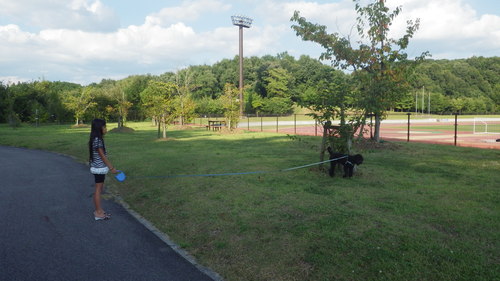 c0300035_21594113.jpg