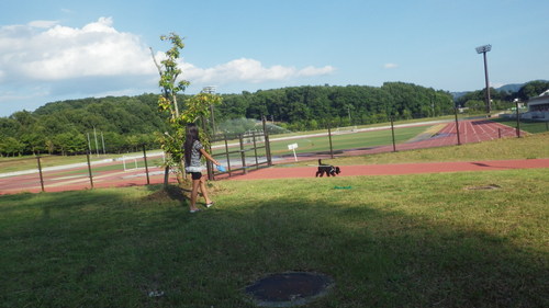 c0300035_2202999.jpg