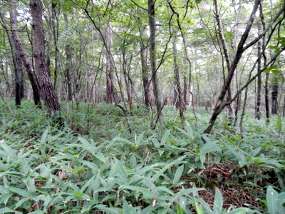a0142343_11543477.jpg