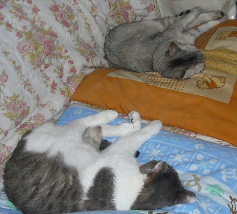 f0002743_23284148.jpg