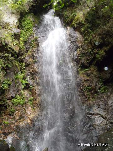 d0182245_22333751.jpg