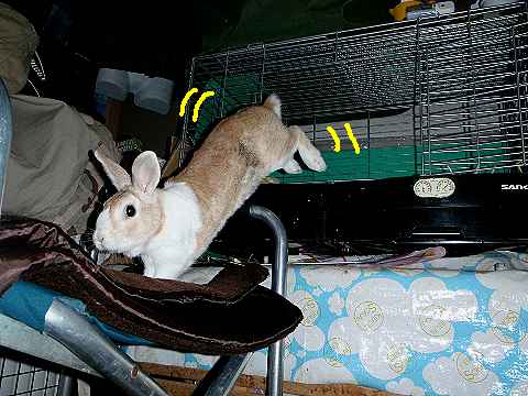 a0095546_22184799.jpg