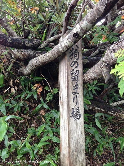 e0285347_04219.jpg