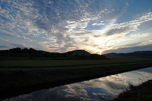 f0214649_76411.jpg