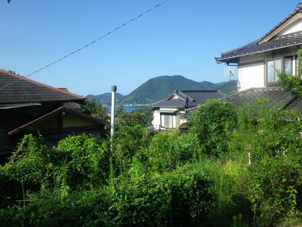 a0068350_11483349.jpg