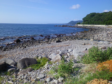 a0068350_11581293.jpg