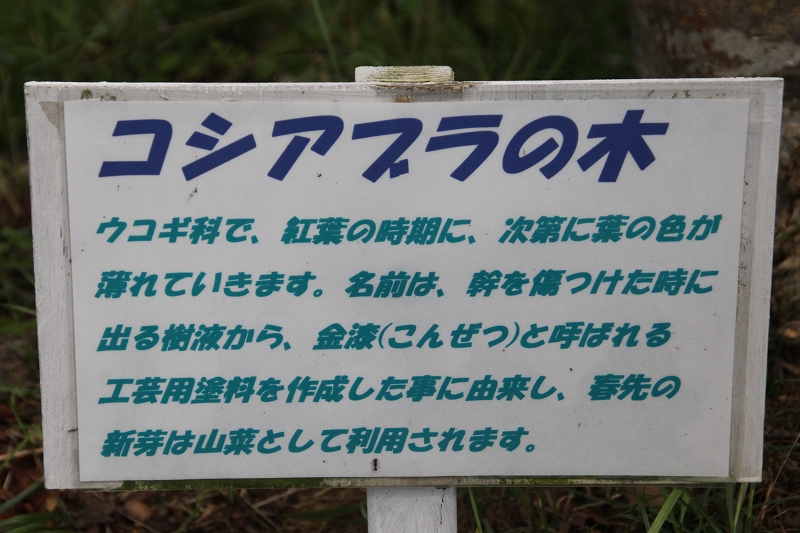 b0250154_23435221.jpg