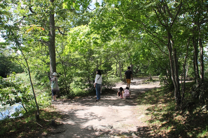 b0250154_23445691.jpg