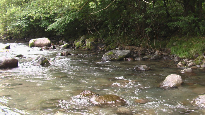 b0208961_953672.jpg