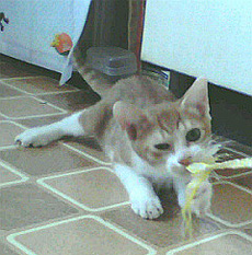 f0140271_032785.jpg