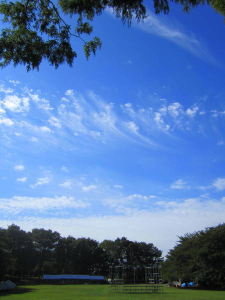 d0264176_17575153.jpg