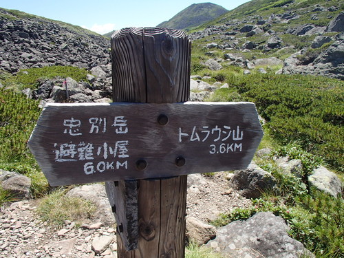 f0130376_1037688.jpg