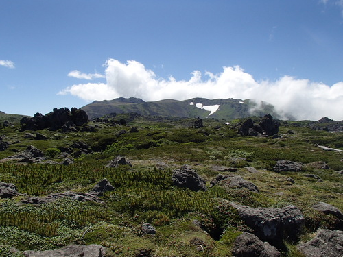 f0130376_1038402.jpg