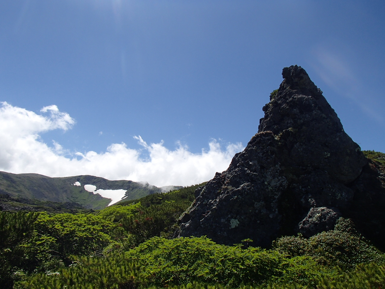 f0130376_10391133.jpg