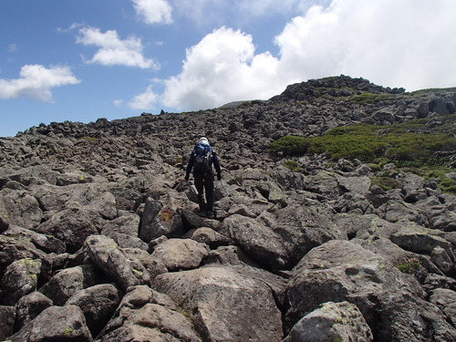 f0130376_10405959.jpg
