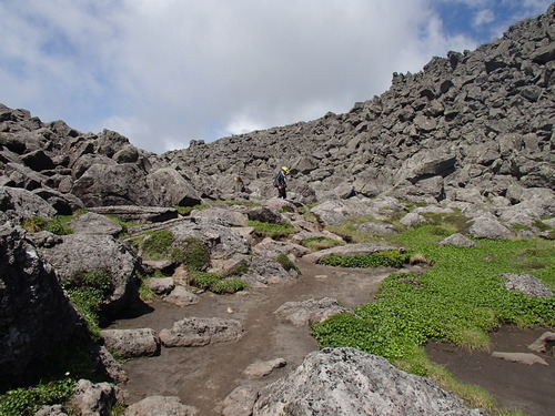 f0130376_10432920.jpg