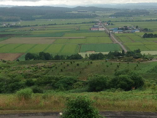 c0172184_1131527.jpg