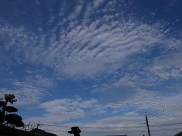 e0130185_20283687.jpg