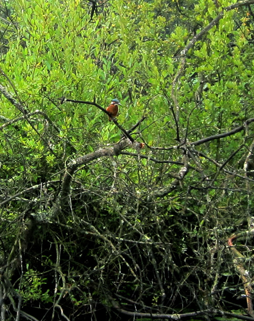 b0228988_18214996.jpg