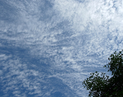 d0129295_15172092.jpg