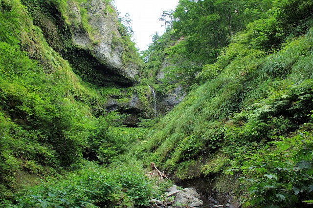 e0137200_19571942.jpg