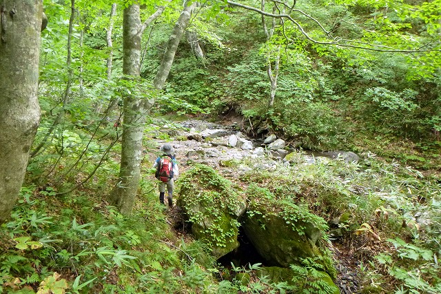 e0137200_195795.jpg