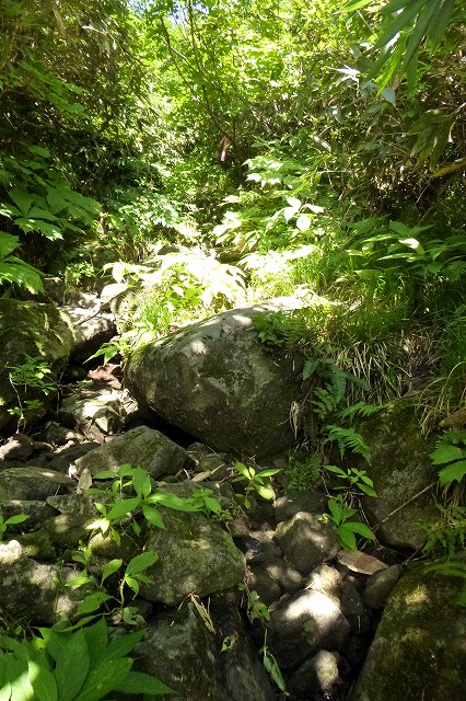 e0137200_2012466.jpg