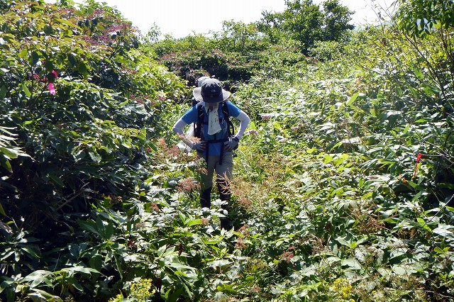 e0137200_2013624.jpg