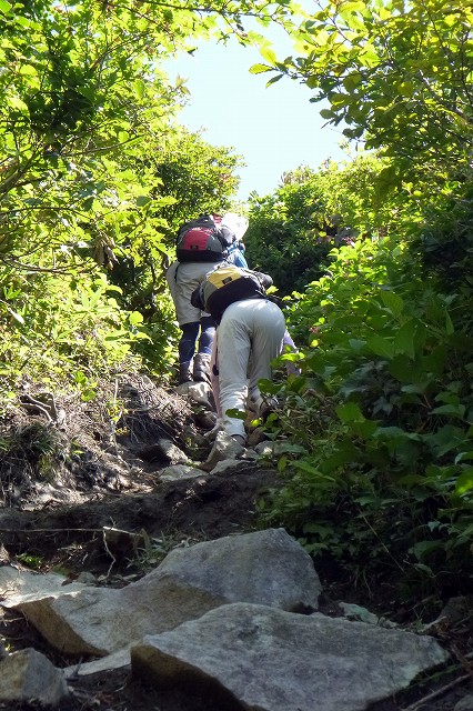 e0137200_2015034.jpg