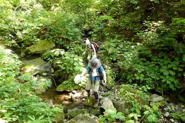 e0137200_201656.jpg