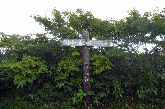 e0137200_2045241.jpg