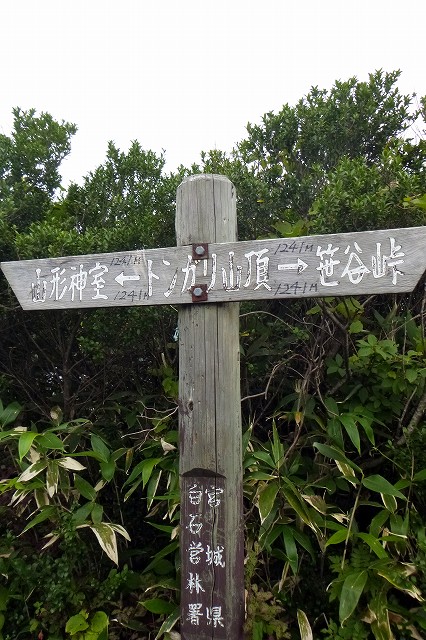 e0137200_2053517.jpg