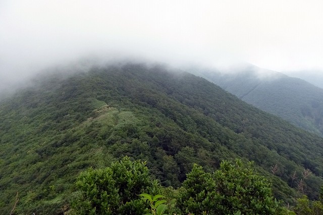 e0137200_2055828.jpg