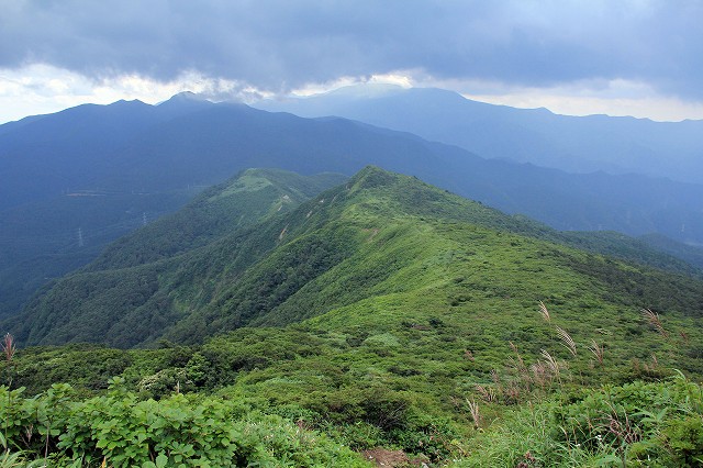 e0137200_20588.jpg