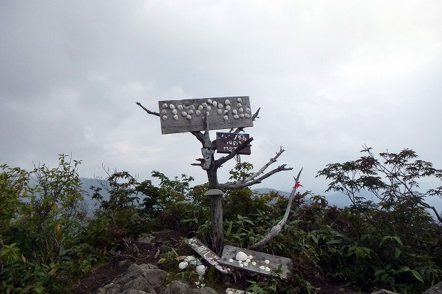 e0137200_2061180.jpg