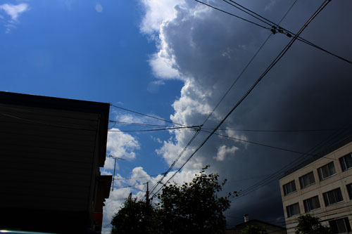 a0139912_12562149.jpg