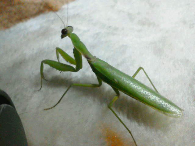 a0268821_0304615.jpg
