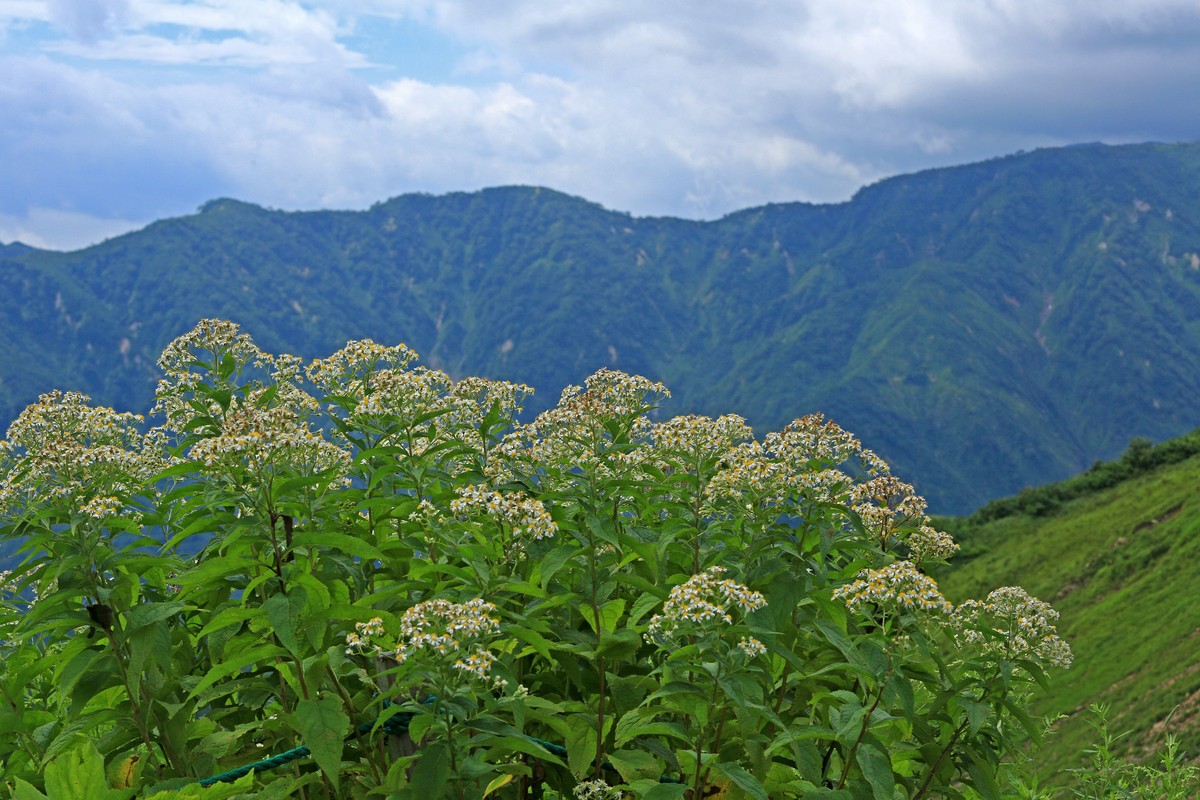 c0104227_1243410.jpg