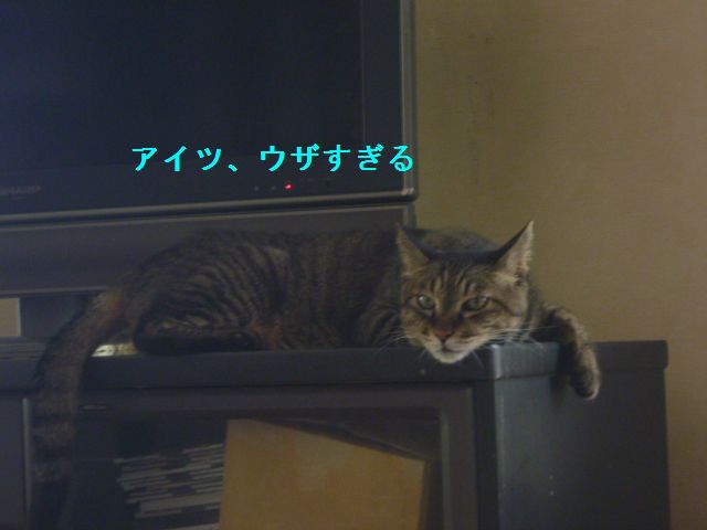 e0142430_1042335.jpg