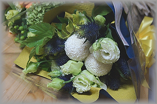 c0080132_0151665.jpg