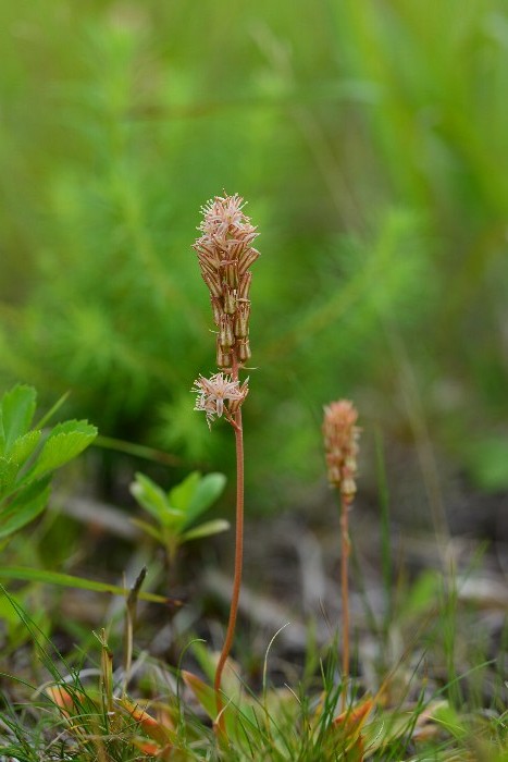 b0236334_20475218.jpg