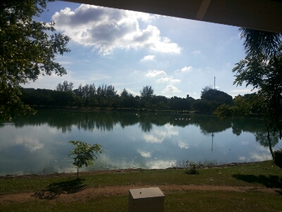 f0001835_18133272.jpg
