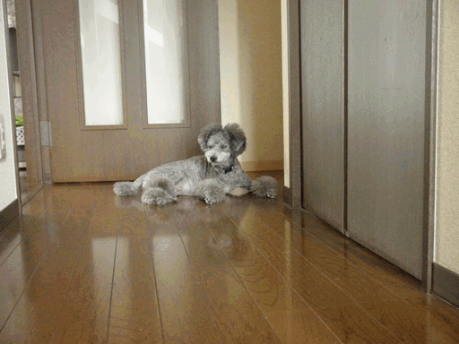 c0136736_1848861.gif
