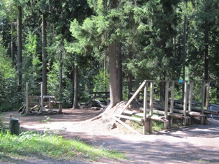 b0135438_15384781.jpg