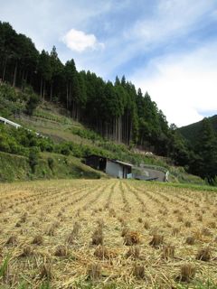 a0054948_9375031.jpg