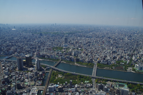 a0299749_153869.jpg