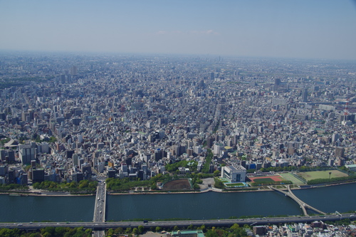a0299749_15404631.jpg