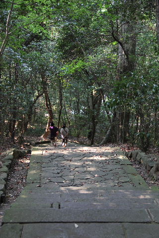 c0011649_7273554.jpg