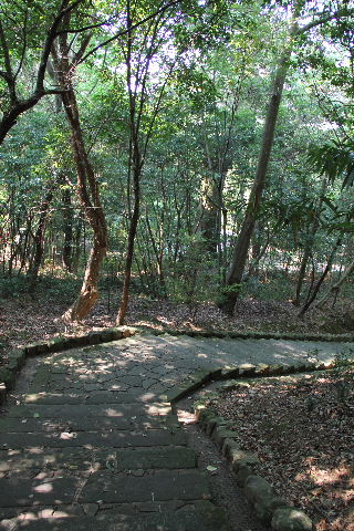 c0011649_7282151.jpg